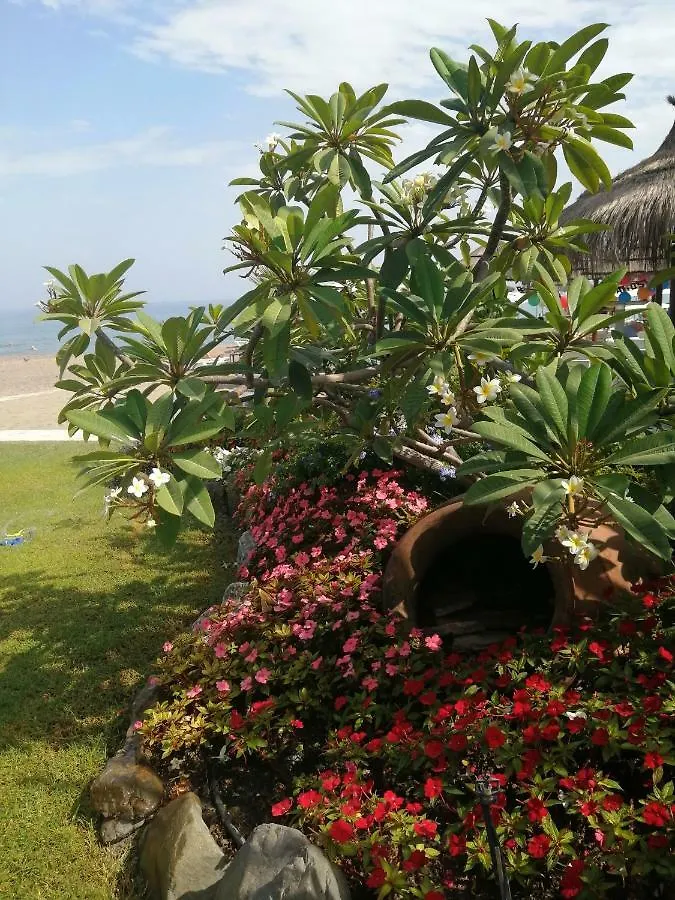 شقة Apartamento Carihuela Playa توريمولينوس